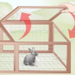 como-construir-una-jaula-para-conejos-con-palets-un-tutorial-paso-a-paso