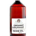 para-que-sirve-el-aceite-de-neem-en-las-plantas