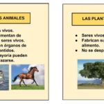 caracteristicas-comunes-entre-plantas-y-animales
