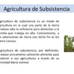 caracteristicas-de-la-agricultura-de-subsistencia