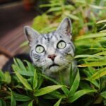 como-evitar-que-mis-gatos-coman-las-plantas