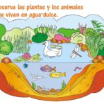 ecosistema-de-agua-dulce-animales-y-plantas