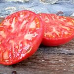 las-mejores-variedades-de-tomate-en-espana