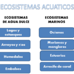 caracteristicas-del-ecosistema-acuatico